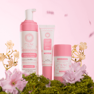 Gamme Sakura