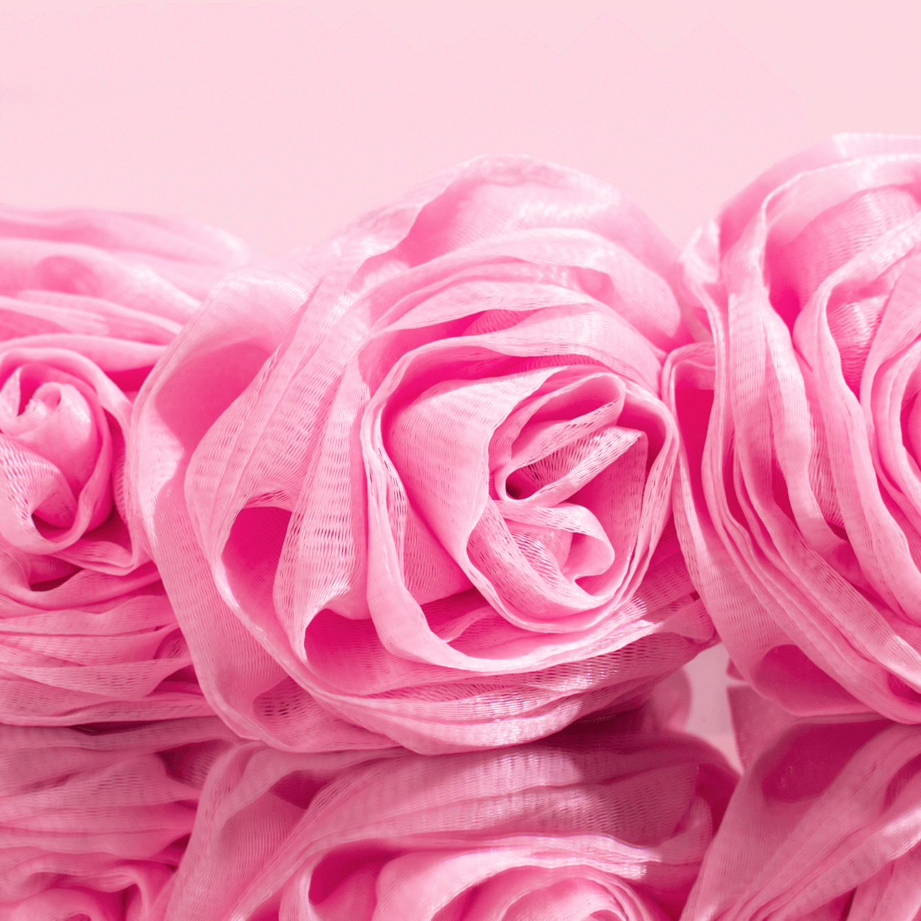 Fleur de douche Image