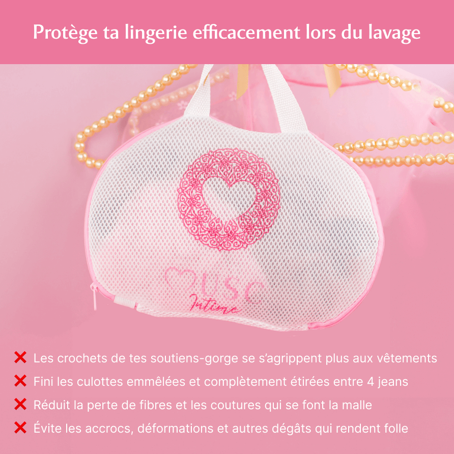 Lingerie Bag Image