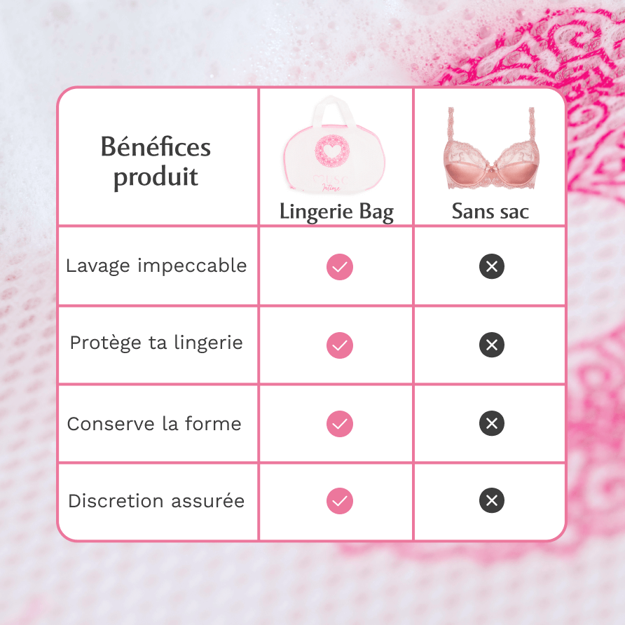 Lingerie Bag Image
