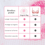 Lingerie Bag Image