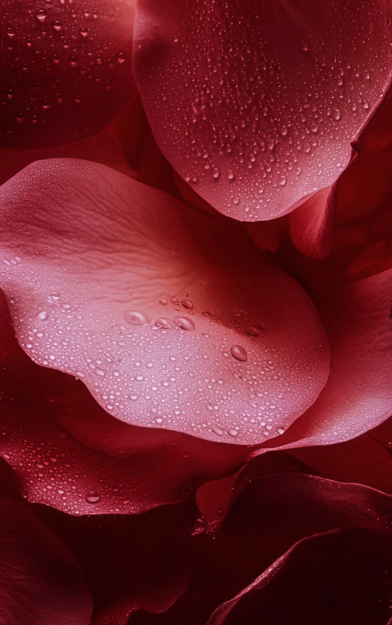 Le Duo Hygiène Intime - Rose Mystik Image