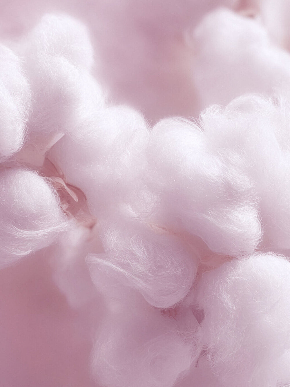 Musc Blanc Ingredient