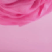 Fleur de douche Image